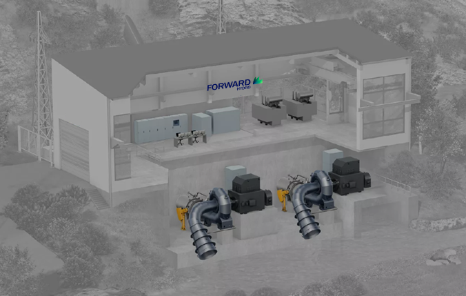Francis plant 3D.png